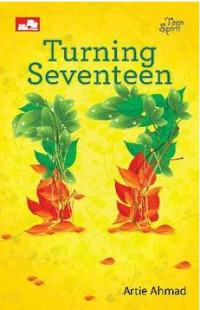 Image of Turning Seventeen